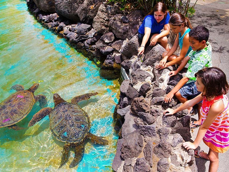 🐬 무로토 돌고래 센터(무로토도루휜센타) 이미지 5